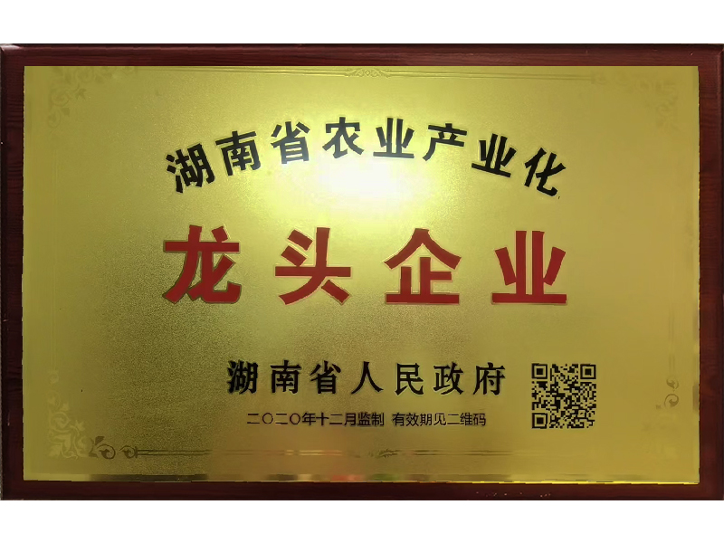 岳陽市漁之源食品有限公司,岳港漁都,洞庭魚港,散稱系列,田螺系列,臭豆腐加工，香豆腐加工，烤脖加工，魚仔,鴨排加工、雞丁加工代加工